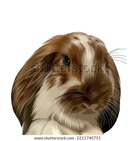 Vector portrait of a white brown rabbit on a white background