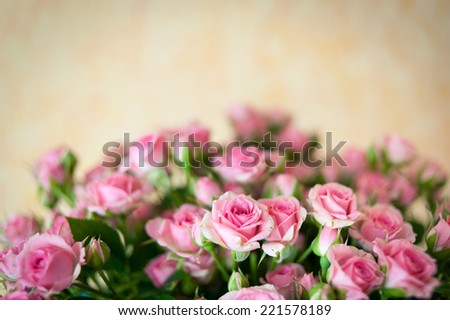 bouquet of fresh pink roses