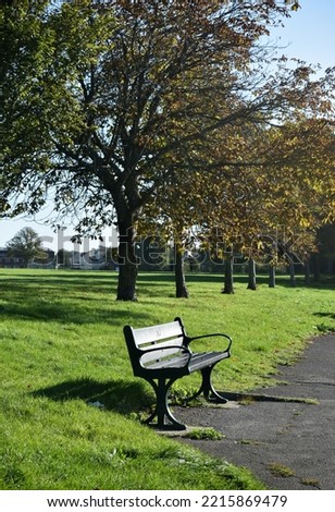 Public park in England with autumnal trees and an empty bench on a cool October day. 