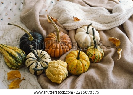 Multicolored pumpkins and dry autumn leaves on wooden background. Flat lay, top view for Autumn, fall, Thanksgiving concept. .Autumn background