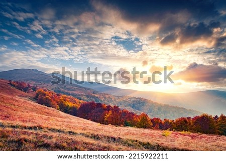Perfect autumn sunrise on Carpathian mountains. Majestic morning scene of Borzhava ridge, Ukraine, Europe. Beauty of nature concept background. Royalty-Free Stock Photo #2215922211