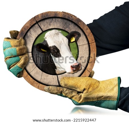 Farmer with protective work gloves holding a wooden round sign with a cow head, isolated on white background, photography.