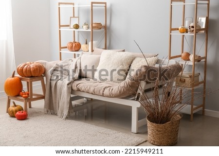 Interior of light living room with couch, Halloween pumpkins and shelving units