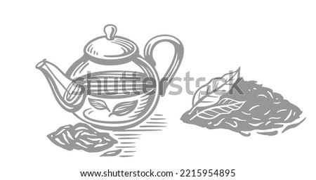 Green tea sketch. Teapot with leaf drawing