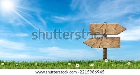 Two empty wooden directional signs (arrows) with pole on a countryside landscape, green grass and daisy flowers against a blue sky with clouds and sunbeams.