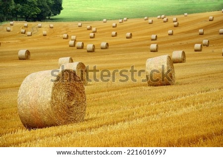 Beautiful Straw bale farm picture 
