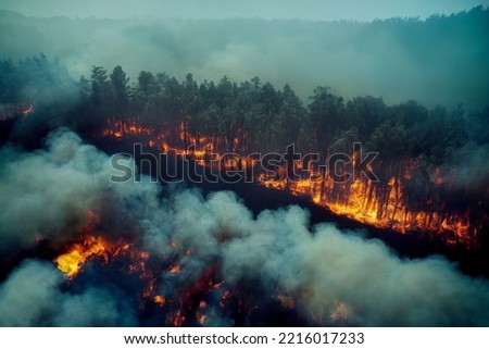 Photo of a burning forest from a drone Royalty-Free Stock Photo #2216017233