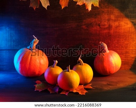 Large and small pumpkins on a wooden table. Maple leaves hang from above . Autumn background