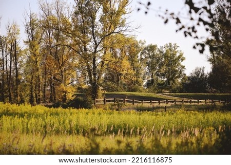 Meadow with animal pen and trees in the background