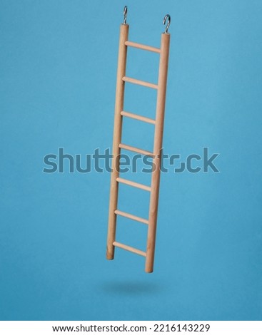 Wooden ladder evitating on blue background with shadow. Leadership, career growth, business concept. 