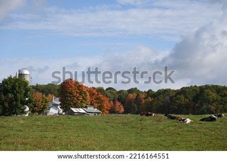 Amish sugarhouse on an autumn landscape Royalty-Free Stock Photo #2216164551