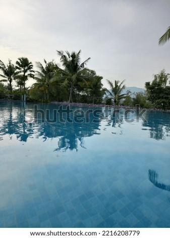 Palm reflection on blue water with sky nature background