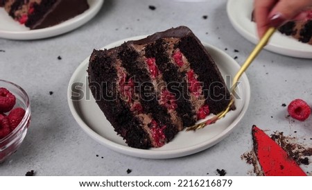 Delicious Chocolate Cake Royalty Free Photo