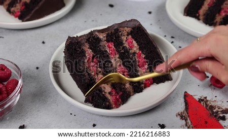 Delicious Choclate Cake Royalty Free Photo