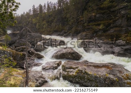 A wild mountain stream somewhere in Norway, Europe