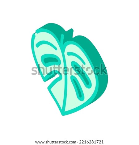 monstera leaf plant isometric icon vector. monstera leaf plant sign. isolated symbol illustration