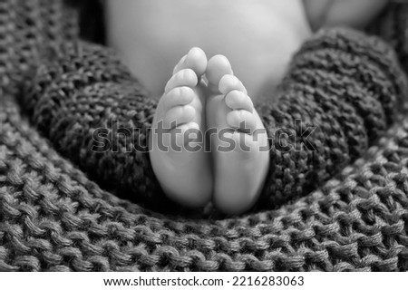 Close up picture of new born baby feet on knitted plaid.  Tiny Newborn Baby's feet closeup.  Happy Family concept. Beautiful conceptual image of Maternity. Black and white image