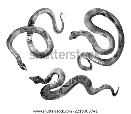 Snakes illustration. Three black reptile isolated on white background. Hand painted artistic clipart