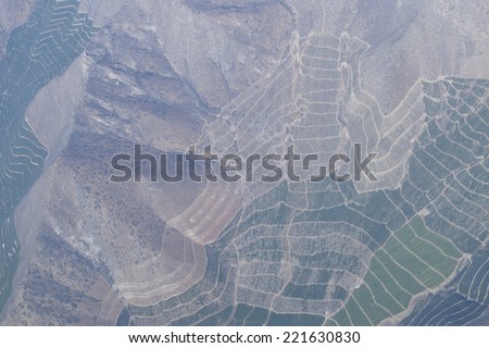 Crop fields in the Maipo Valley, especially vines to make wine, in Santiago de Chile, Chile,
