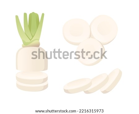 White daikon radish root with green stem cartoon vegetable plant vector illustration isolated on white background Royalty-Free Stock Photo #2216315973