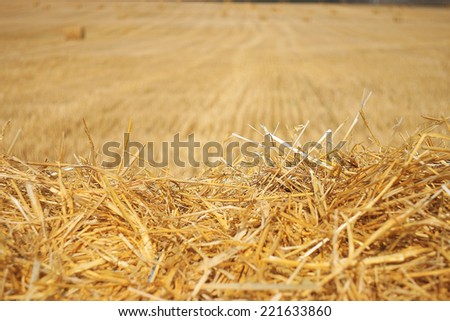 hay background
