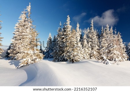 Fantastic winter landscape. Blue sky. Carpathian, Ukraine Europe Beauty world