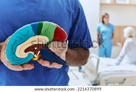 Recovery of elderly woman after stroke in hospital room with doctor and nurse. Neurologist holding anatomical model of human brain, conceptual image Royalty-Free Stock Photo #2216370899