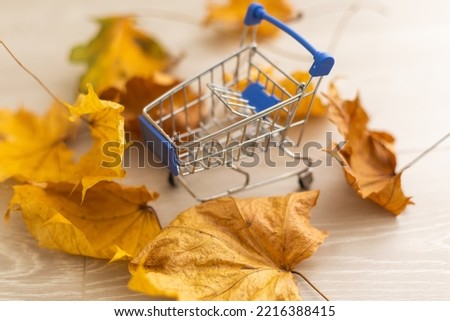 Autumn sale: shopping cart with yellow fall leaves framed with dry leaves on white background. Seasonal sale or fall discount deal with copy space for your text