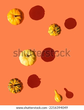 Little pumpkins on orange background. Minimalistic fall composition. Creative autumn concept.