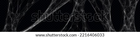 Realistic stretched spider web set. Vector hanging cobweb illustration for halloween design Royalty-Free Stock Photo #2216406033