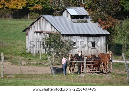 Old amish sugarhouse surrounded by draft horses Royalty-Free Stock Photo #2216407495