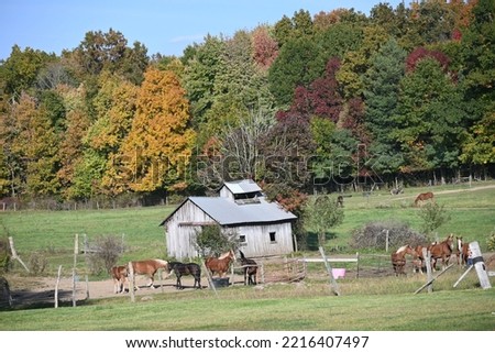 Old amish sugarhouse surrounded by draft horses Royalty-Free Stock Photo #2216407497