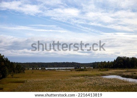 Natural landscape with lake, reed and beautiful sky cvered with clouds, selective focus. High quality photo
