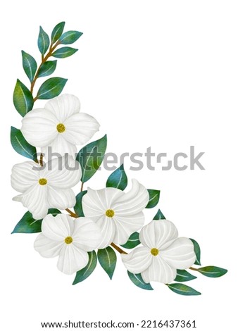White Dogwood, watercolor flower illustration, and green leaf, isolated on white background