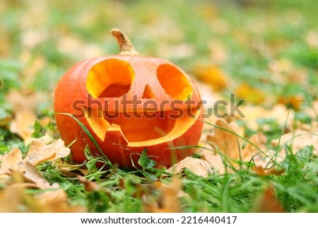 Halloween smiling pumpkin with huge eyes in the autumn forest. Cute pumpkin among autumn fallen leaves. Autumn mood