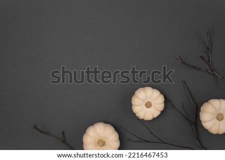 Halloween black background with bats, spiders, pumpkins and twigs. Modern Holiday design. Halloween party border on Dark Gray colour. Flat lay, top view, copy space. Thanksgiving fall decoration. 2022