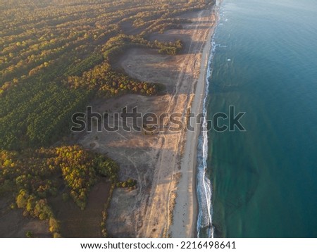 wild beach with sand and forest in Bulgaria, aerial view