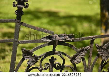 a fragment of an old rusty metal fence