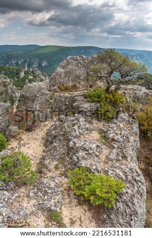 The city of stones, within Grands Causses Regional Natural Park, listed natural site with Dourbie Gorges at bottom. Aveyron, Cevennes, France.