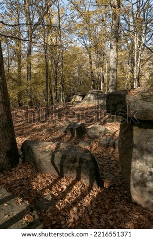  Dolmens in the forest near the village of Pshada. Russia. Krasnodar region.