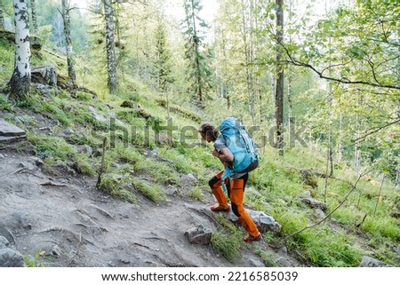 A person climbs uphill on a trail with a large backpack on sleep, hiking alone, mountain climbing, hiking, forest walk. High quality photo Royalty-Free Stock Photo #2216585039