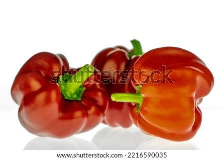 Homegrown paprika lie on a lightbox. The red vegetables were grown without chemicals.