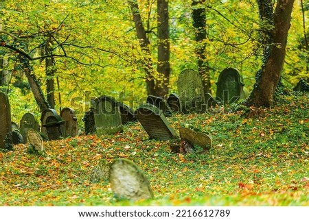 The Jewish cemetery is located one kilometre east of the town of Luze in the Chrudim district of the Pardubice Region of the Czech Republic