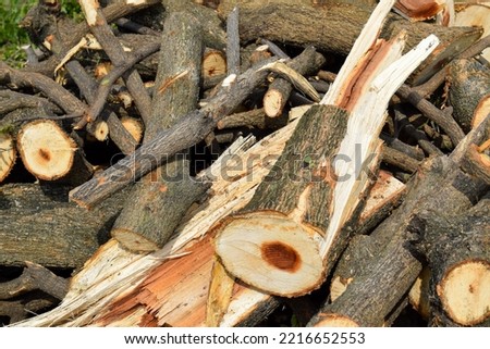 Natural wooden background. Closeup of chopped wood.