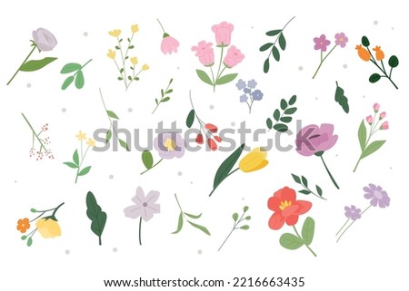 A collection of different types of flower and plant design sources. flat vector illustration.