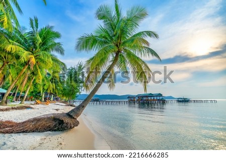 Tropical beach with palm on beautiful sandy beach in Phu Quoc island, Vietnam, sunset sky. This is one of the best beaches of Vietnam. Royalty-Free Stock Photo #2216666285