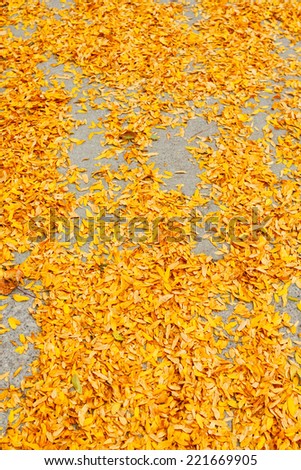 Beautiful colorful yellow autumn leaves on ground, fall season, view from above, card wallpaper with background copy space, vertical