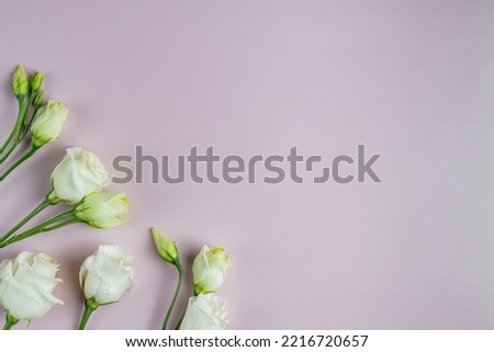Border frame made of white bloomimng eustoma flowers on pink background. Flat lay, top view. Frame of flowers. Copy space