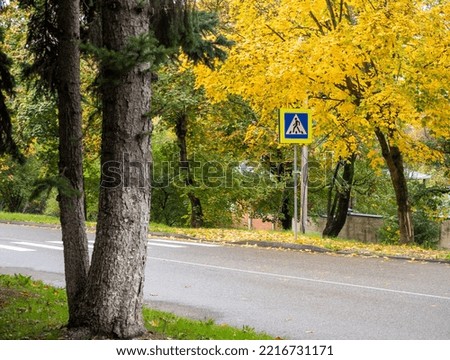 pedestrian crossing on the forest road