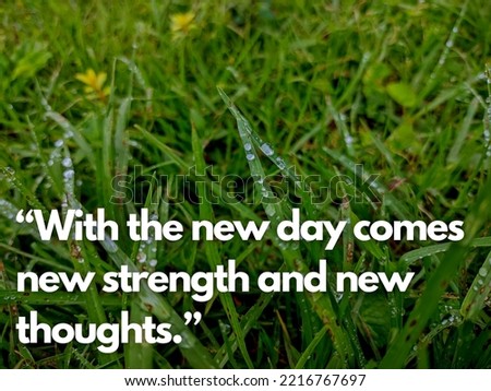 Inspirational quote “With the new day comes new strength and new thoughts.” in nature background